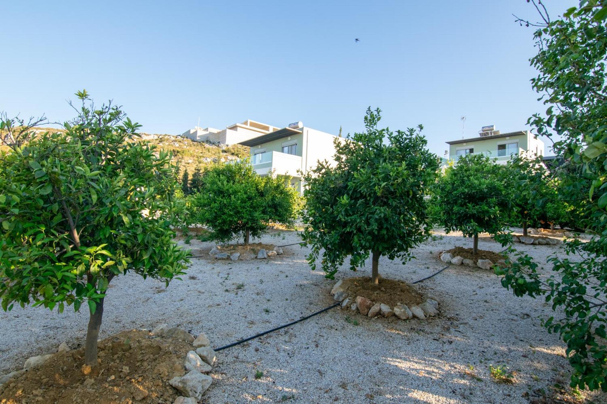 Κatakis Villas Agios Onoufrios Exteriör bild