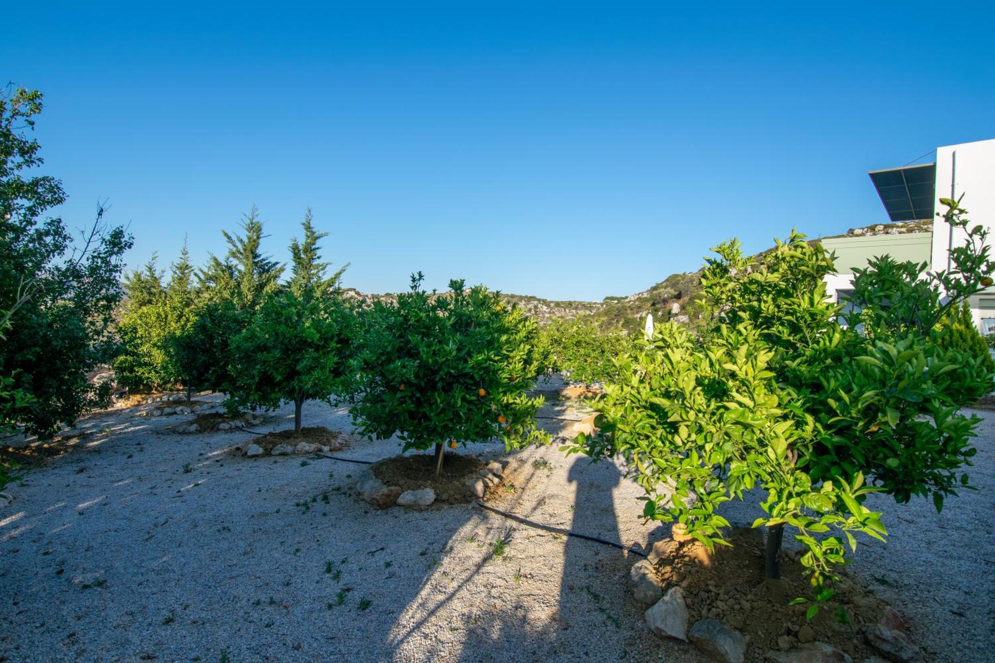 Κatakis Villas Agios Onoufrios Exteriör bild