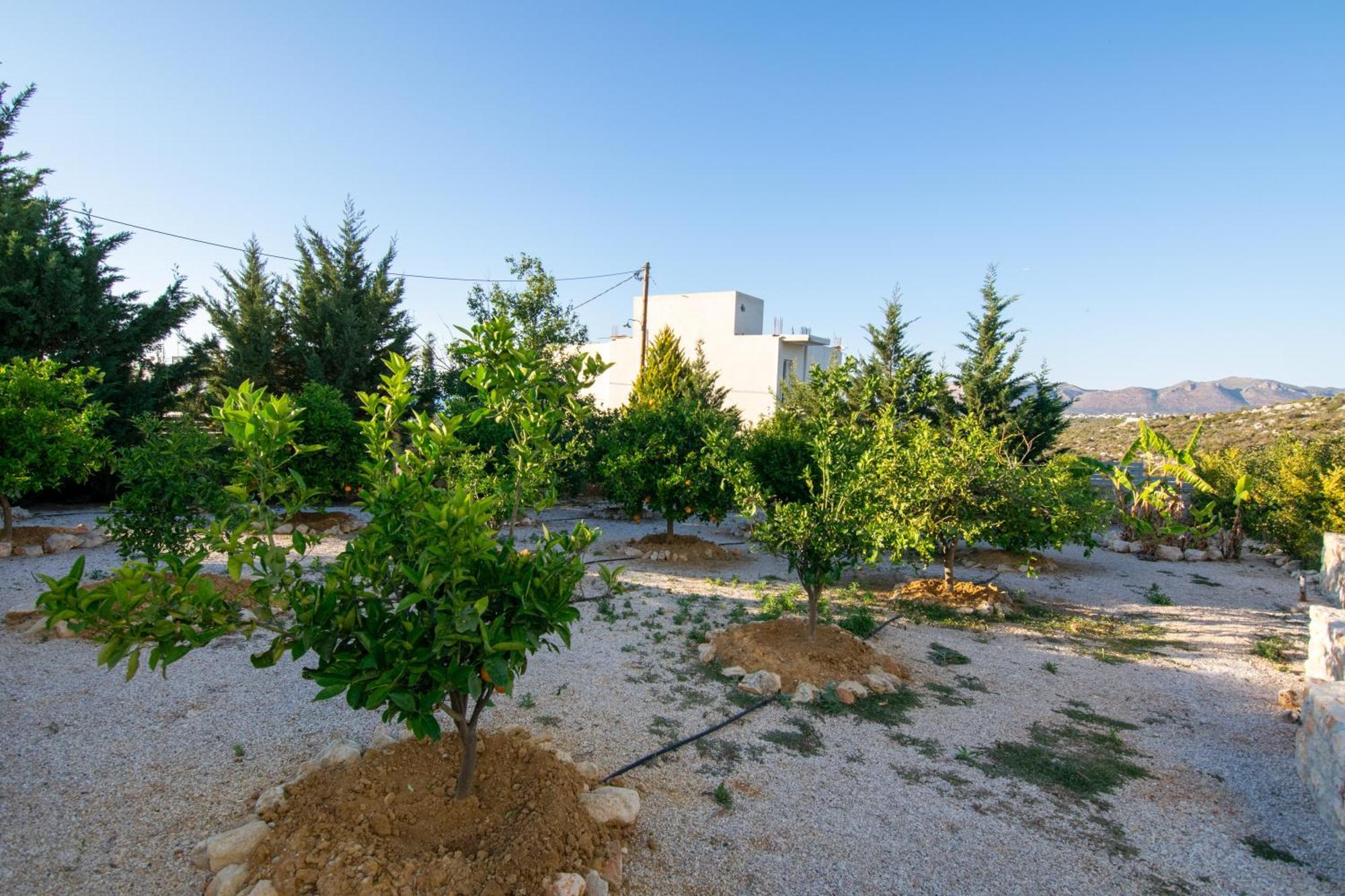Κatakis Villas Agios Onoufrios Exteriör bild