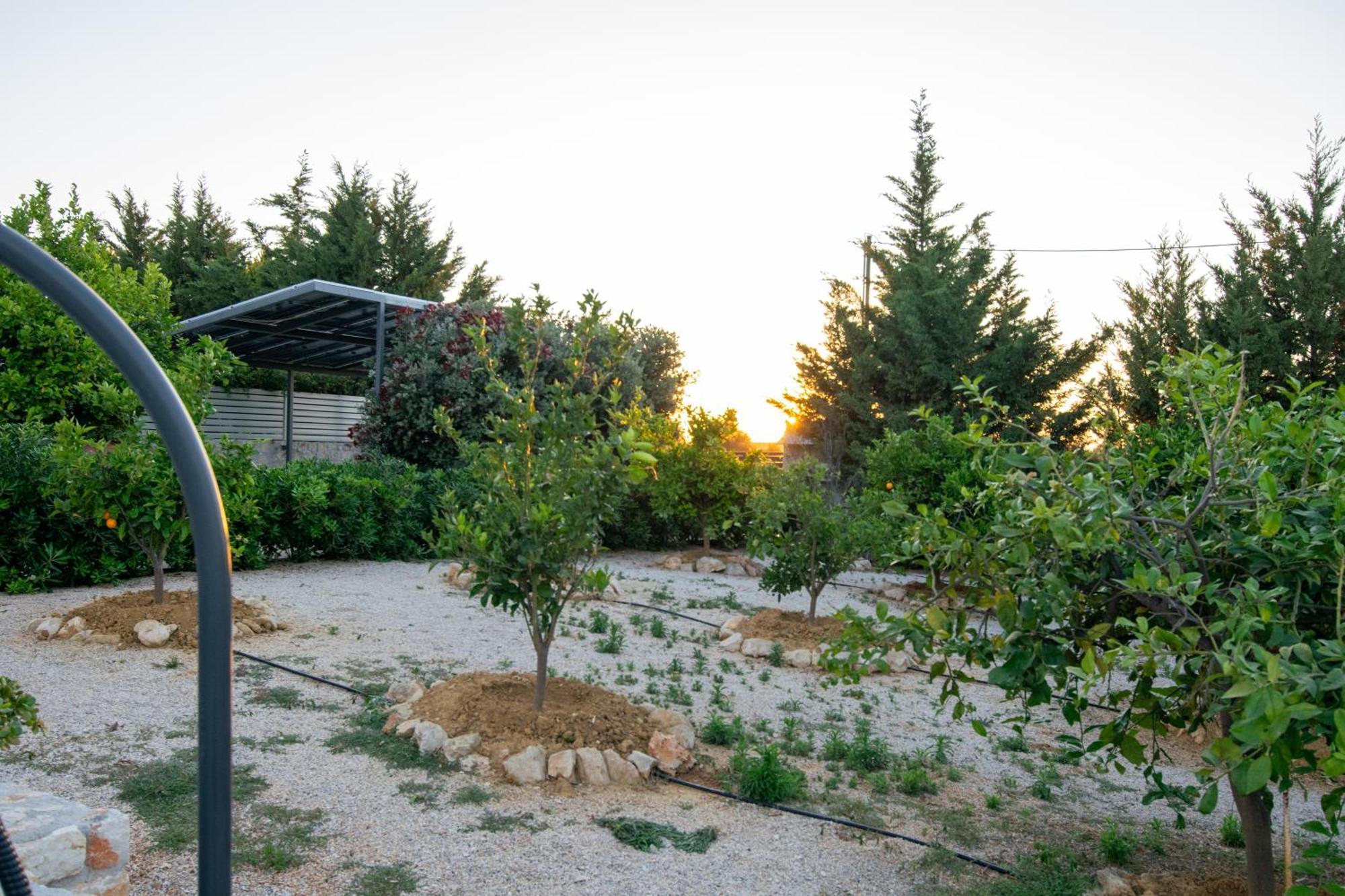 Κatakis Villas Agios Onoufrios Exteriör bild
