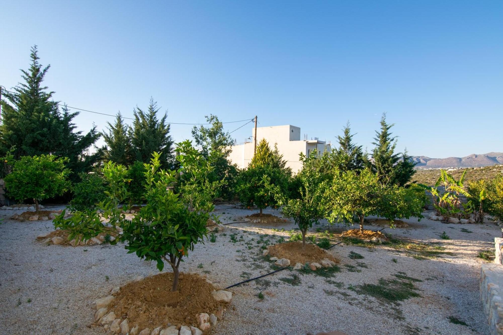 Κatakis Villas Agios Onoufrios Exteriör bild